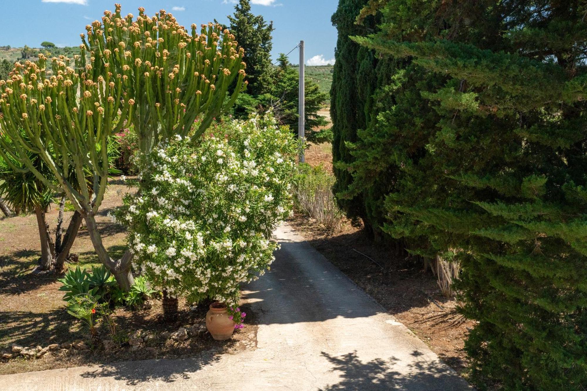 Casa Vacanze Verdemare Con Piscina Ribera Buitenkant foto