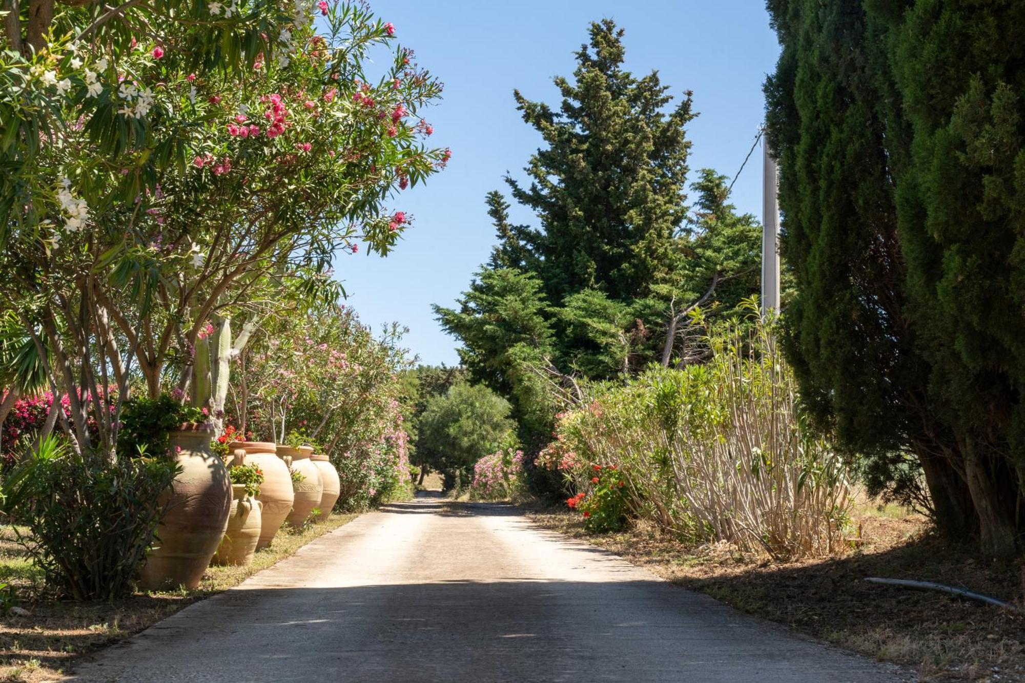 Casa Vacanze Verdemare Con Piscina Ribera Buitenkant foto